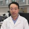 Profile picture of Pingli Dai