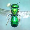 Profile picture of Mehakpreet Kaur