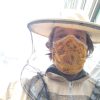 Profile picture of Eric Bullinger