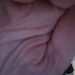 Profile picture of Tester01