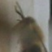 Profile picture of Approver01