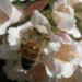 Profile picture of Mamoun Albakri