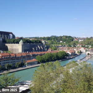 COLOSS Vespid & Virus Meeting 2025, April 3-4, Bern, Switzerland