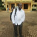 Profile picture of Baba Sani Wudil