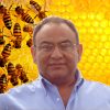 Profile picture of Luis A. Medina-Medina