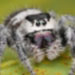Profile picture of Bryan Smith