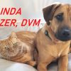 Profile picture of Linda Speizer