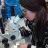 Profile picture of Alejandra Scannapieco
