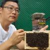 Profile picture of xavier Tan