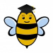 Profile picture of David Gooskens