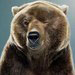 Profile picture of Alisan Balta