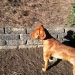 Profile picture of Andrea Maroni Ponti