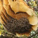 Profile picture of Paulo Salbany