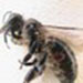 Profile picture of Salima Koumad