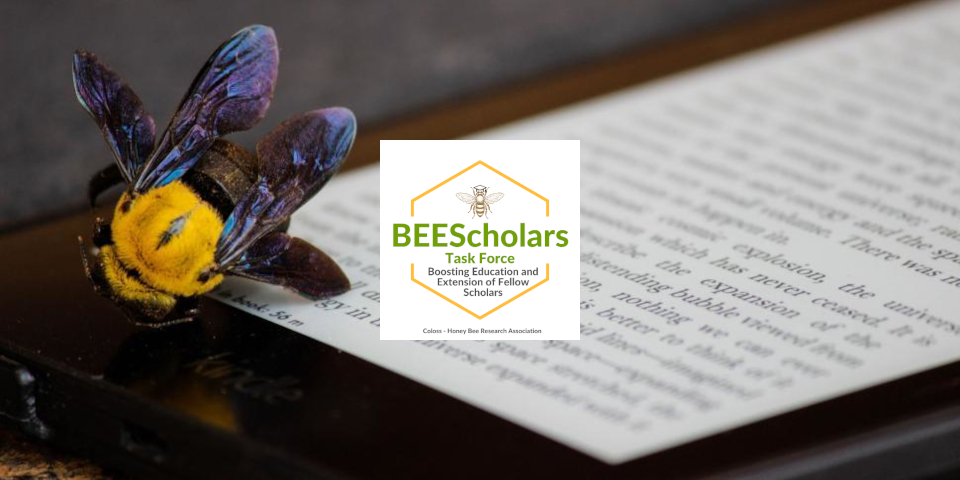 beescholars-ws